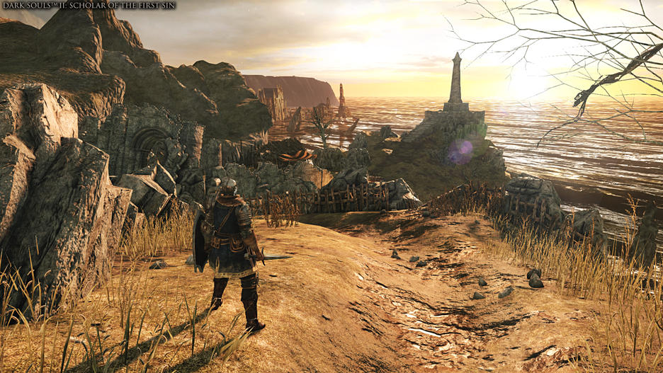 Dark Souls Trilogy PS4 FR Usato Dark Souls Trilogy PS4 FR Usato